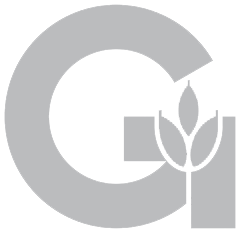 GIIAVA Logo
